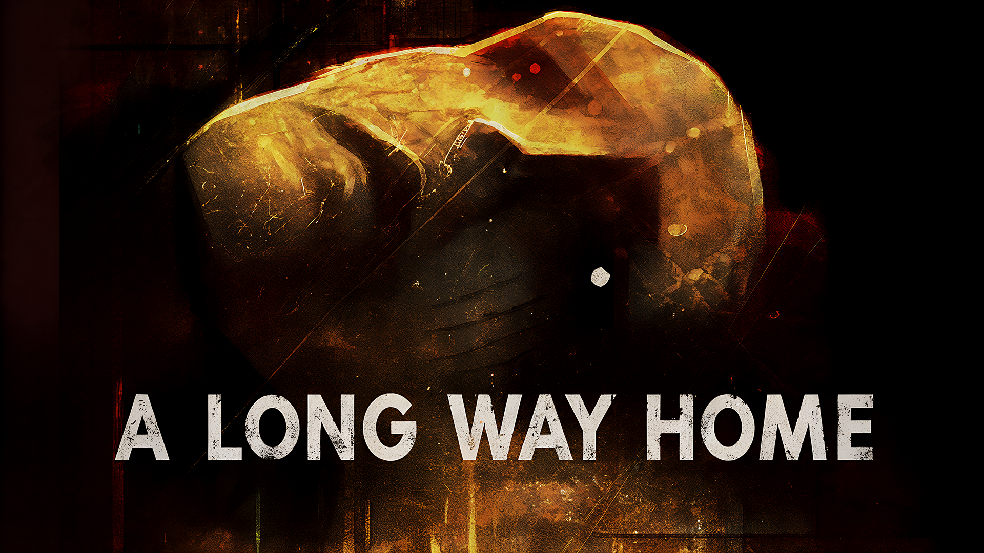Copertina di A Long Way Home