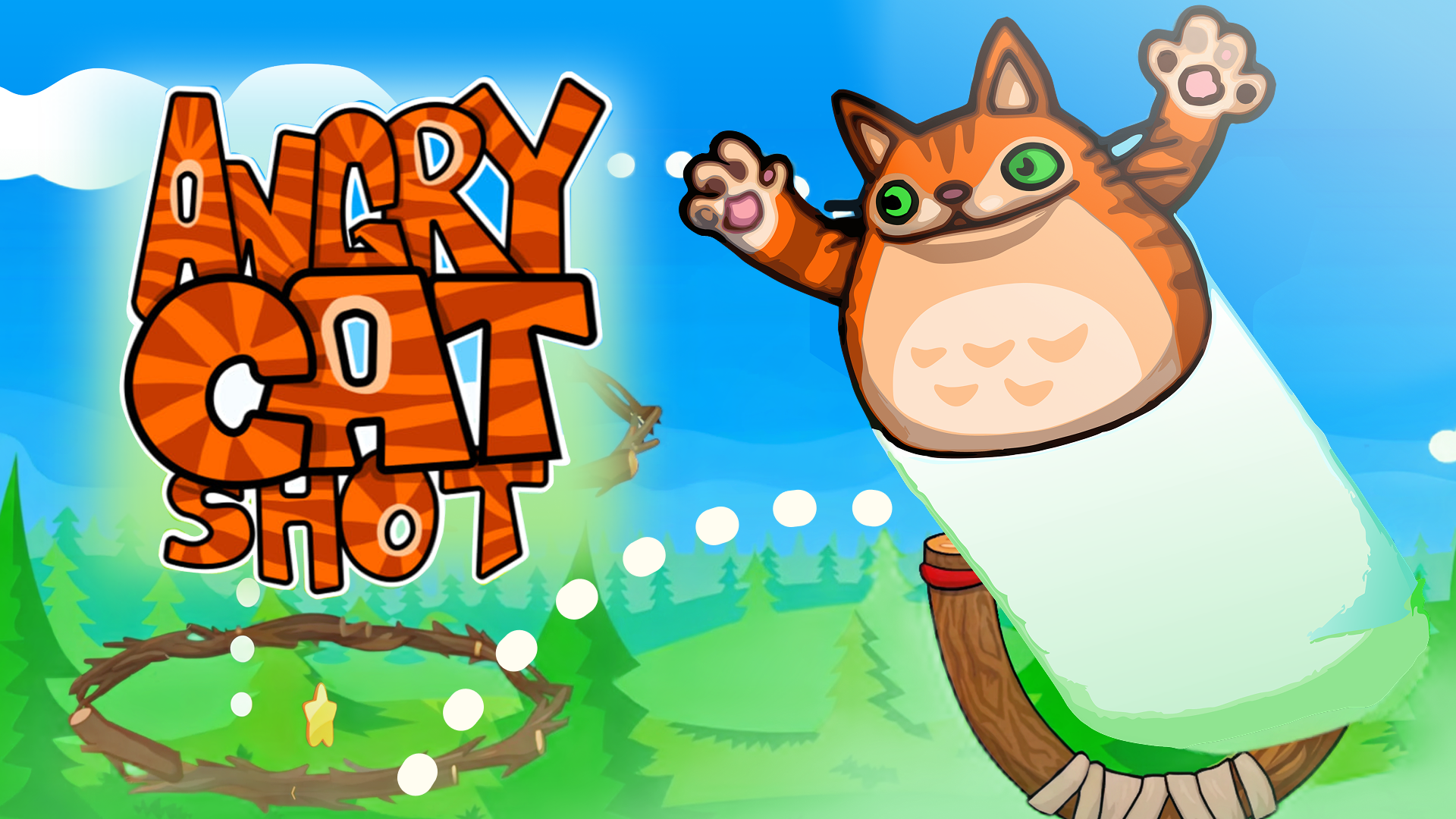 Copertina di Angry Cat Shot