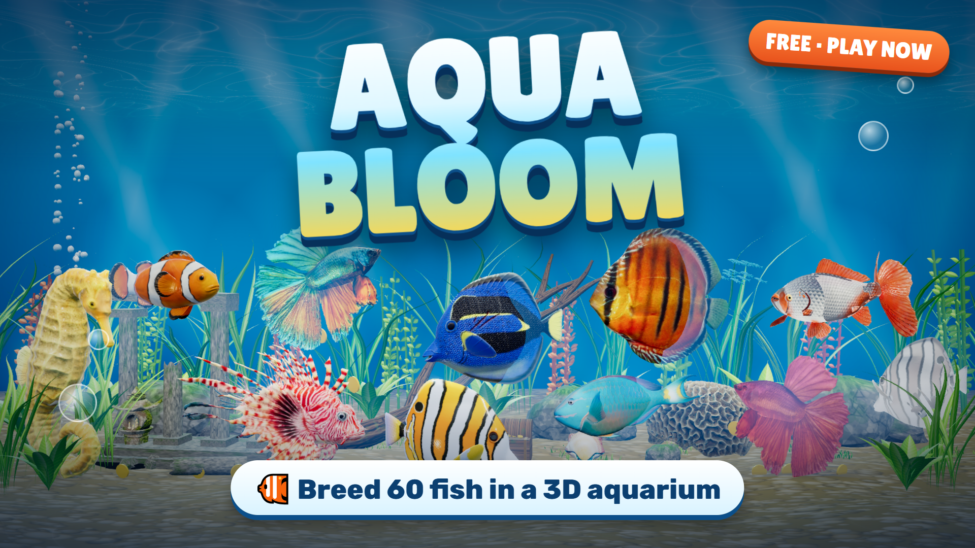 Aqua Bloom