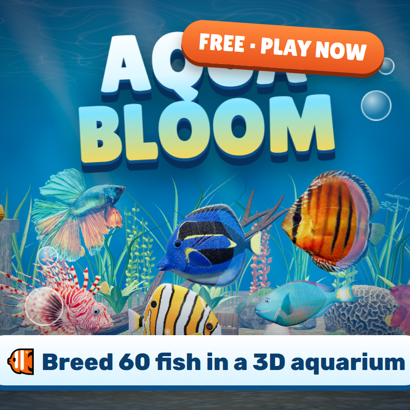 Aqua Bloom