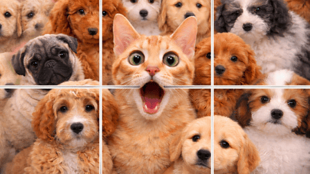 Jigpic Solitaire