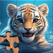 Jigsaw Puzzle Game