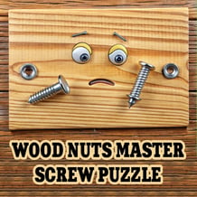 Wood Nuts Master: Screw Puzzle