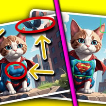 Kitty Spot The Differences with Friends - 1 2 Players