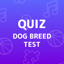Dog Breed Test Quiz