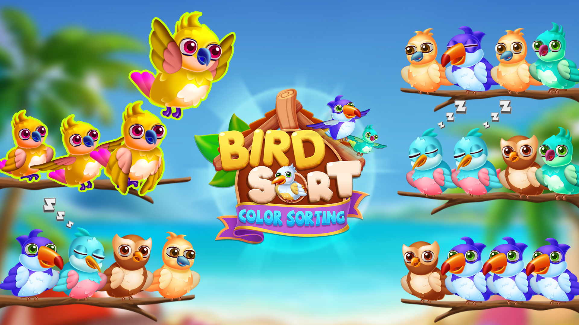 Bird Flock Puzzle