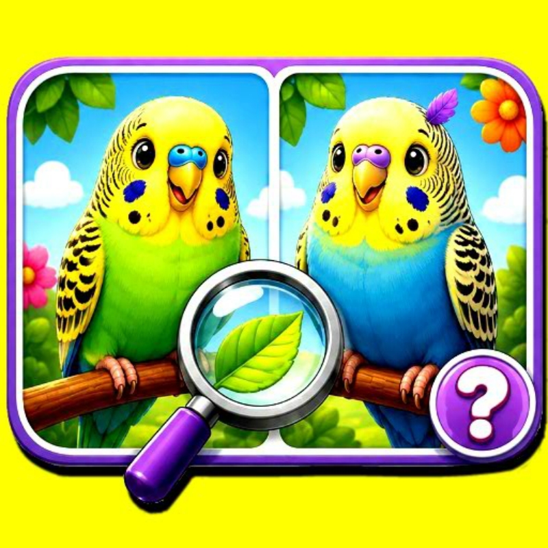 Budgie Spot the Difference