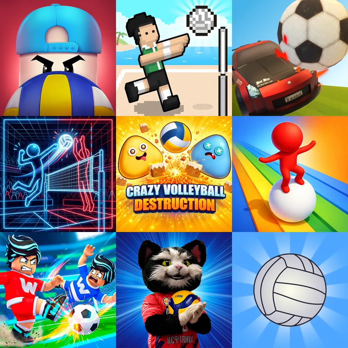 Volleyball Games