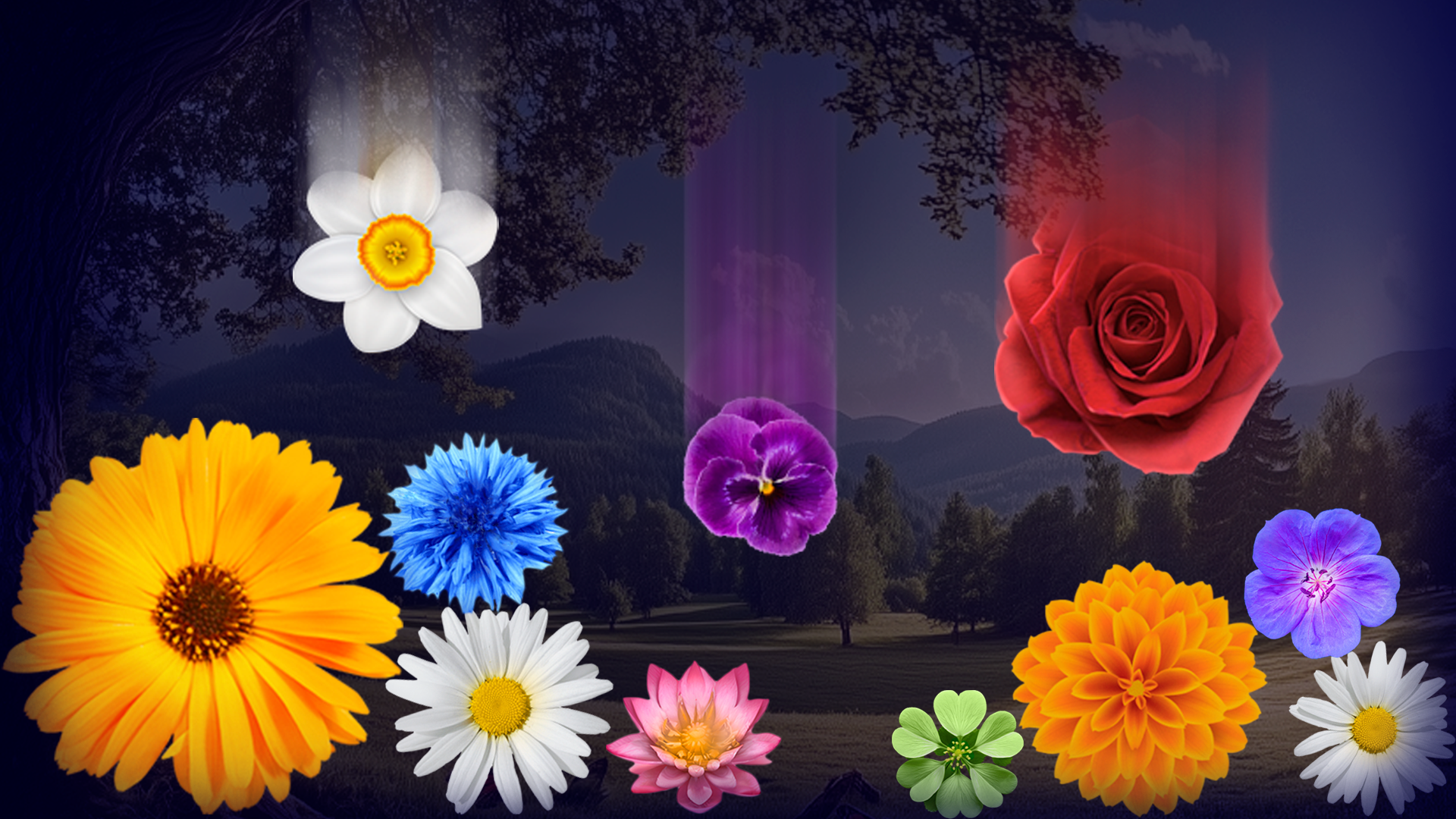 Visuel de Connecting Flowers: Garden Merge