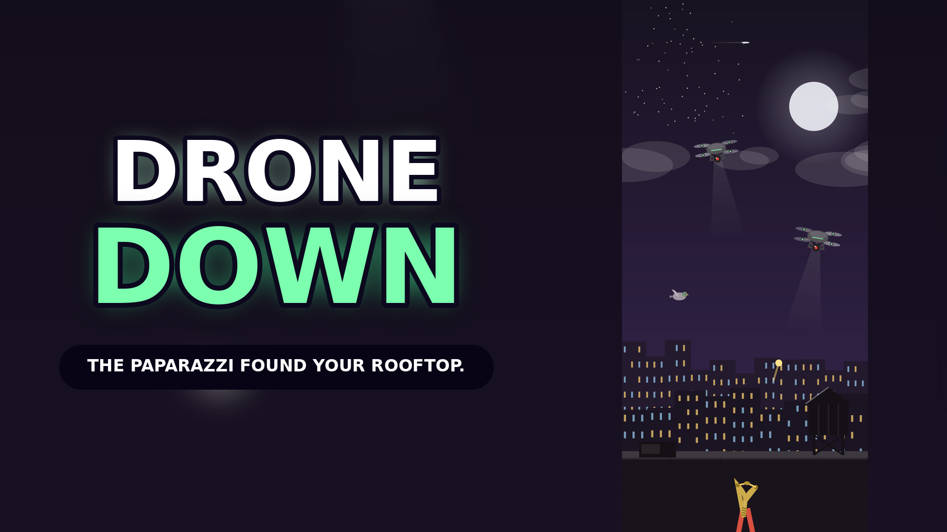 Drone Down