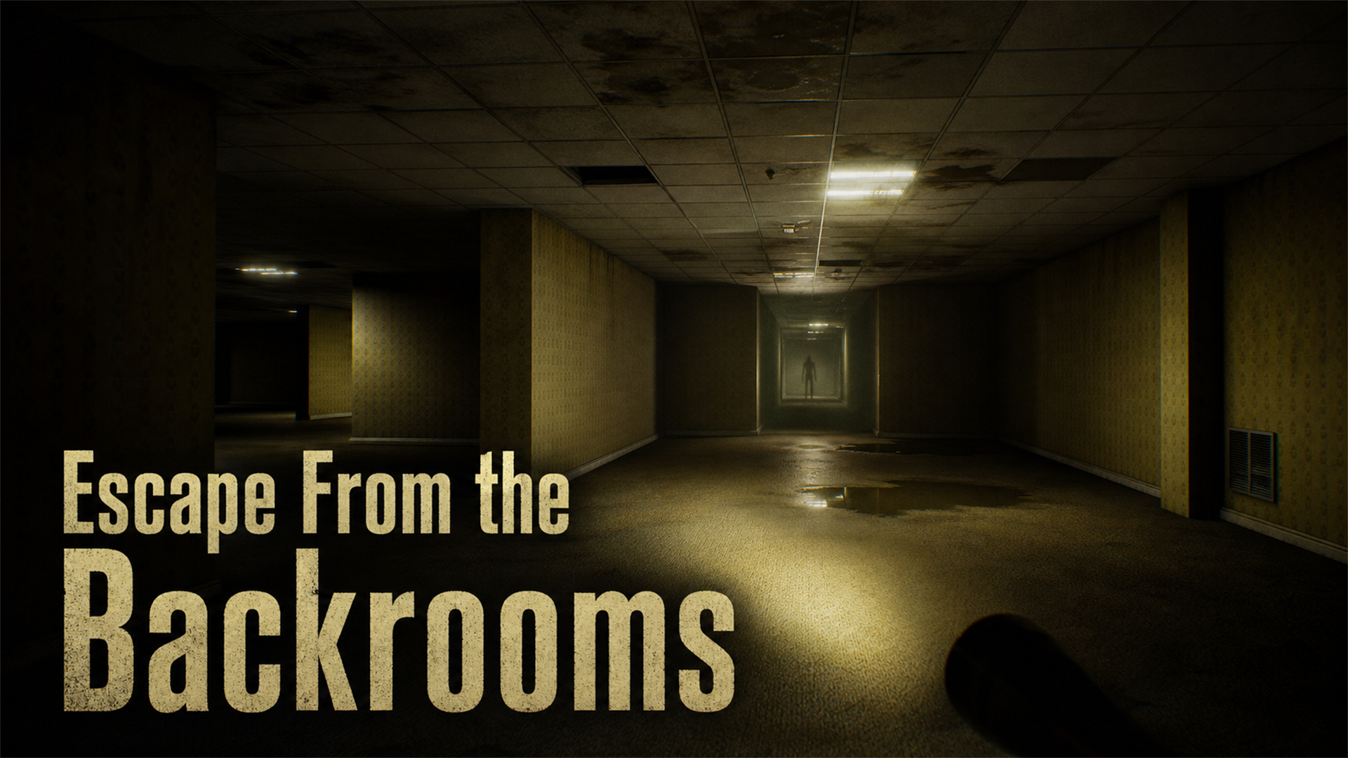 Okładka Escape From The Backrooms
