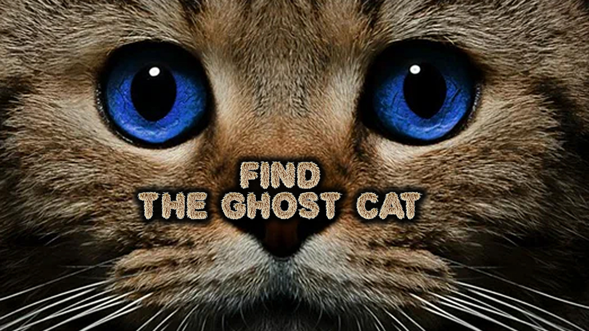 Imagen de portada de Find the Ghost Cat