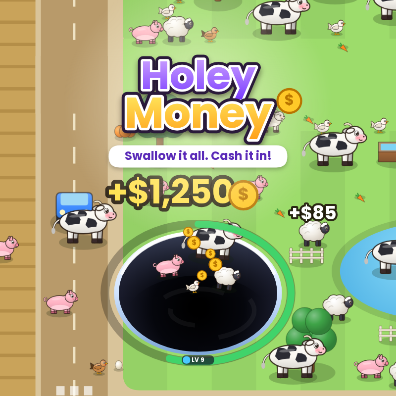 Holey Money