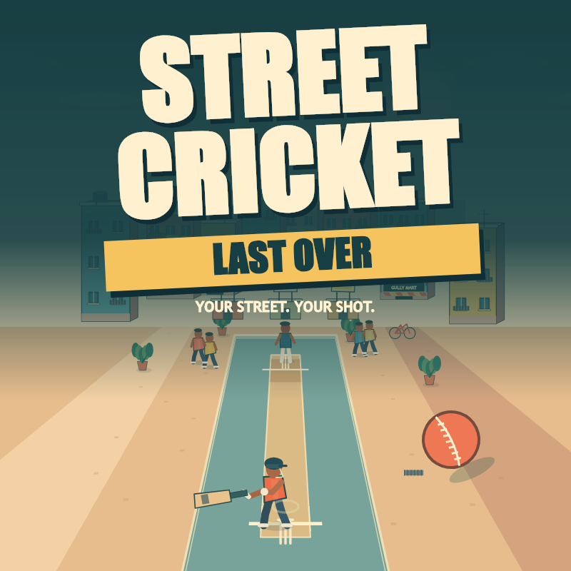 Street Cricket: Last Over