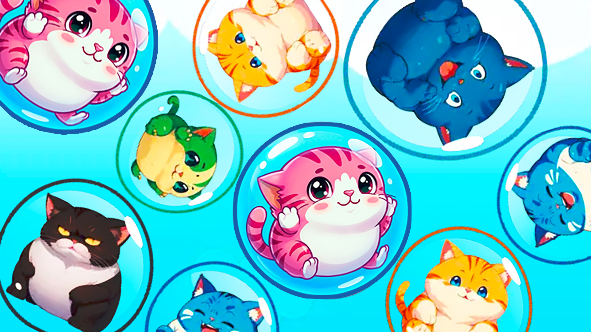 Plump cats