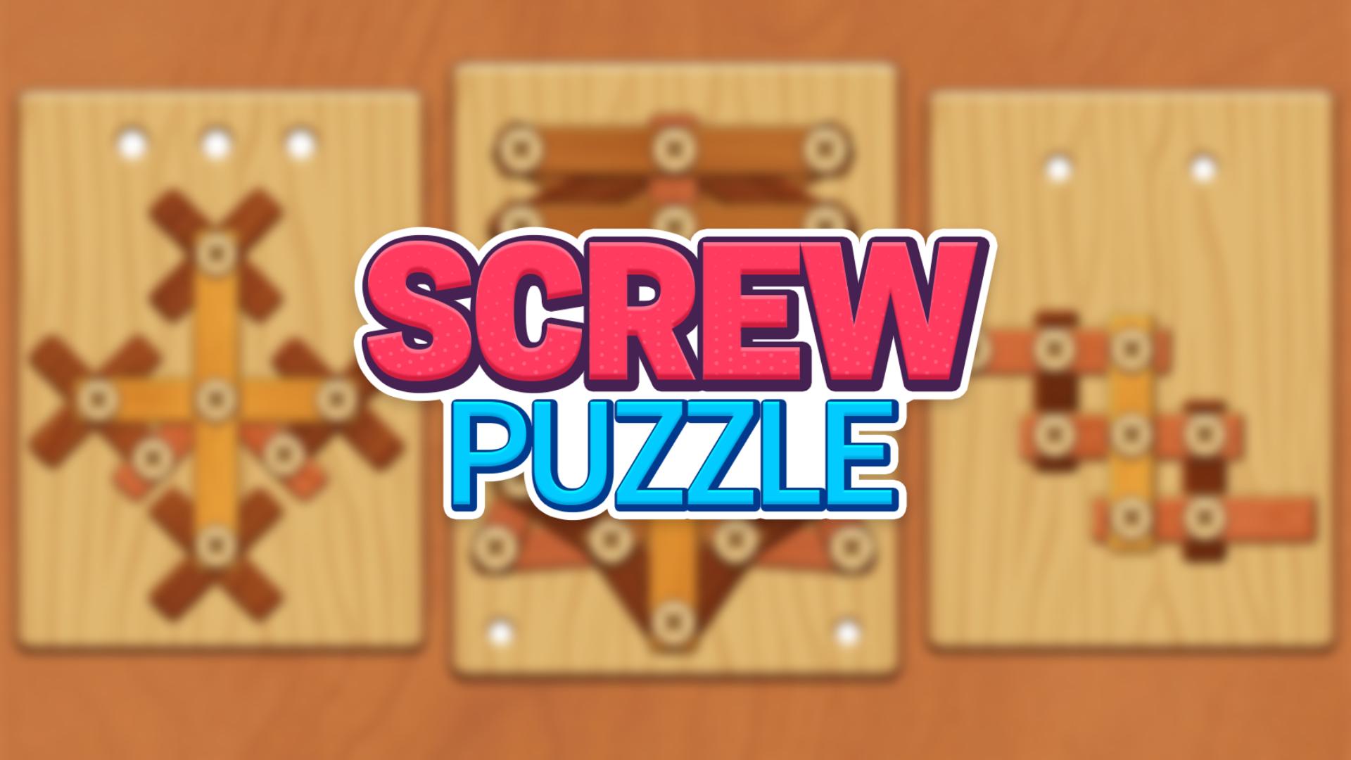 Gambar sampul Screw Puzzle