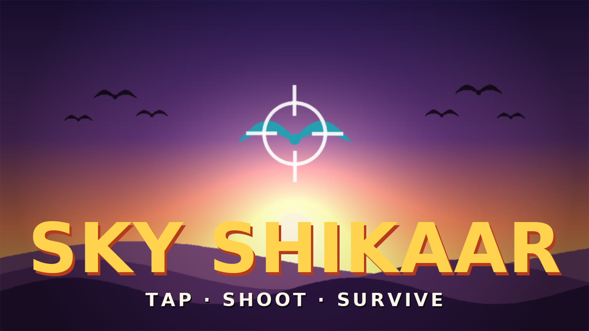 Sky Shikaar cover art