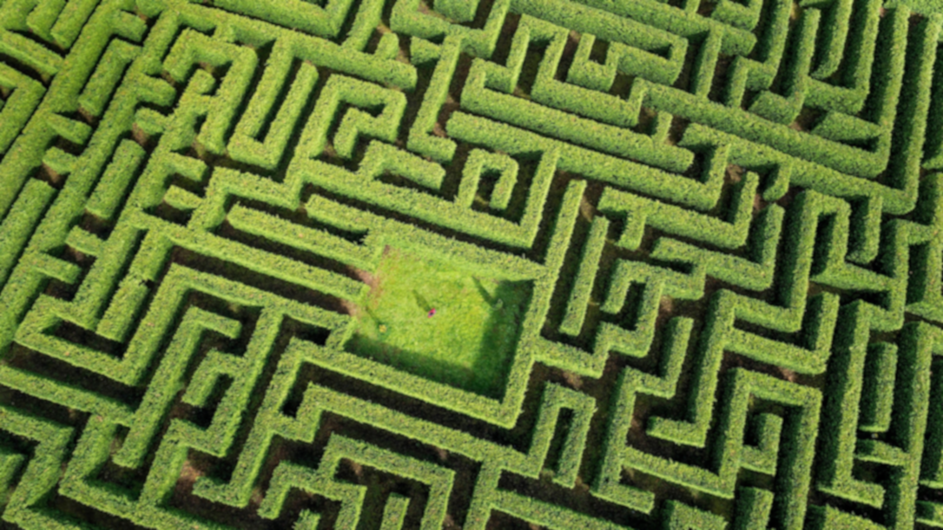 Visuel de The Mazes of Infinity