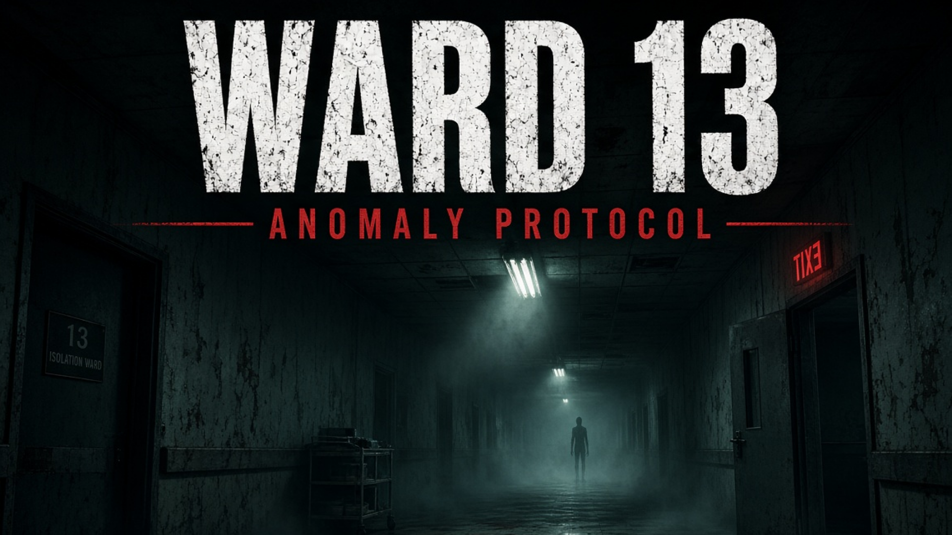 Copertina di WARD 13 - First Person Anomaly Detection