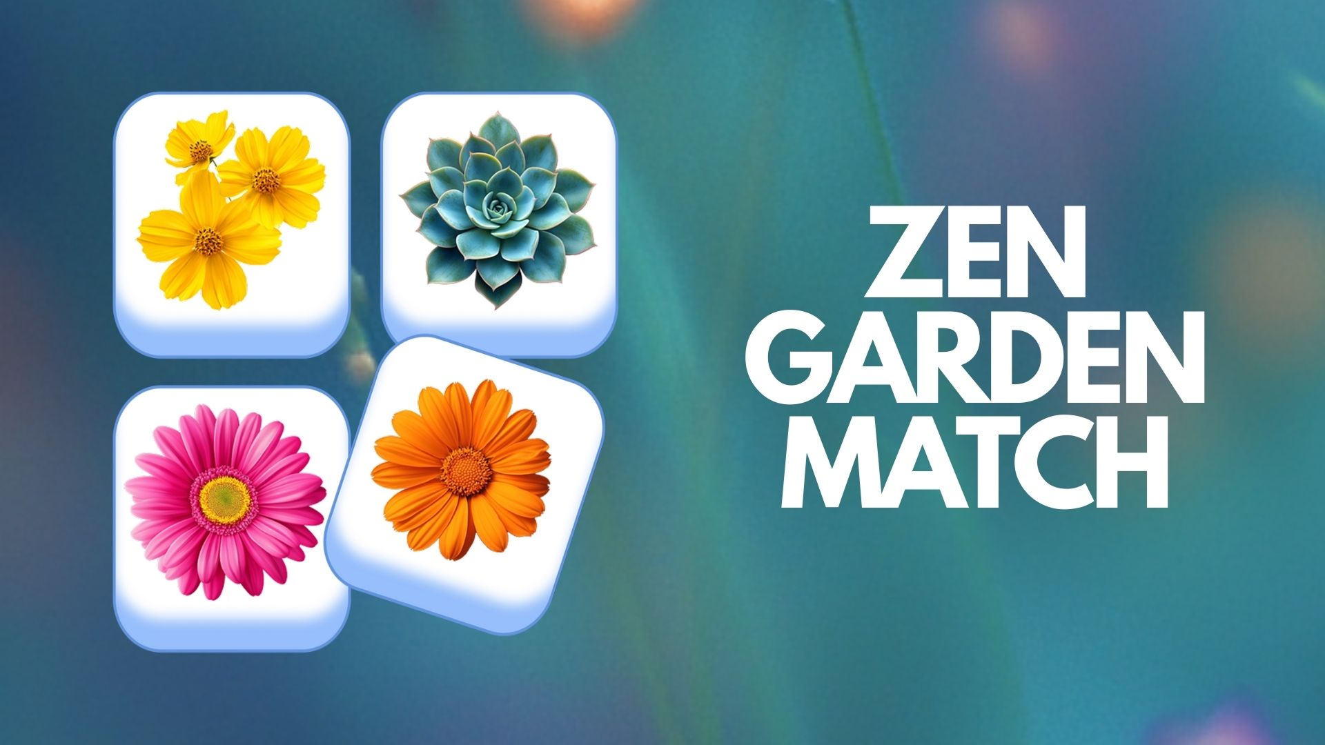 Copertina di Zen Garden Match