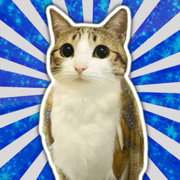 AniMerge