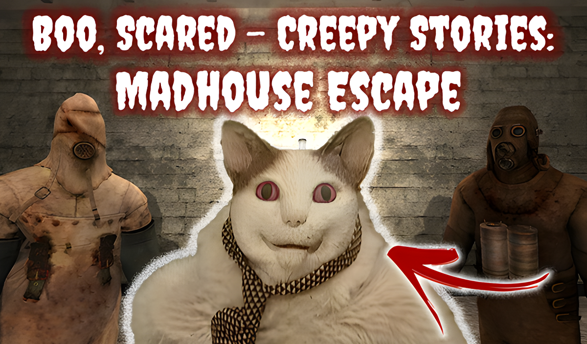 Boo, Scared - Creepy Stories: Madhouse Escape cover art