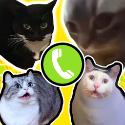 Call Meme Cats