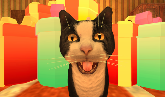 Cat Freddy