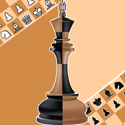Chess with a computer and for two