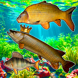 Connect the fish - Reach the Pike