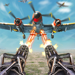 Defence of Sky