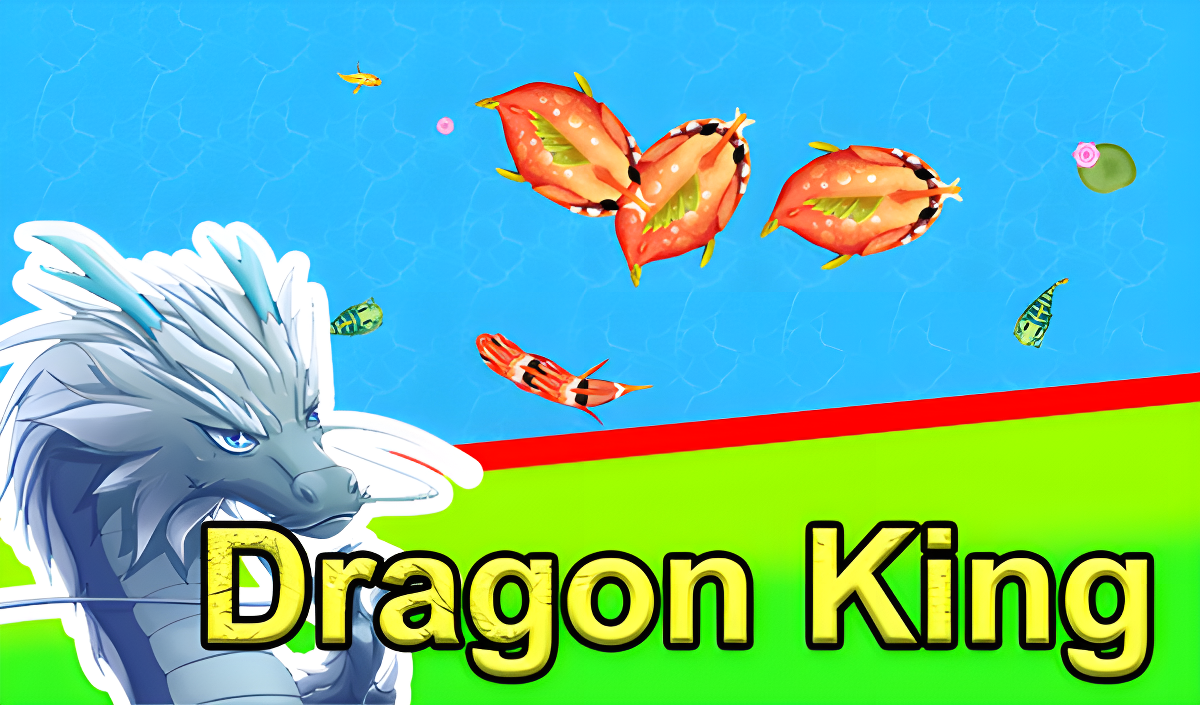Okładka Dragon King