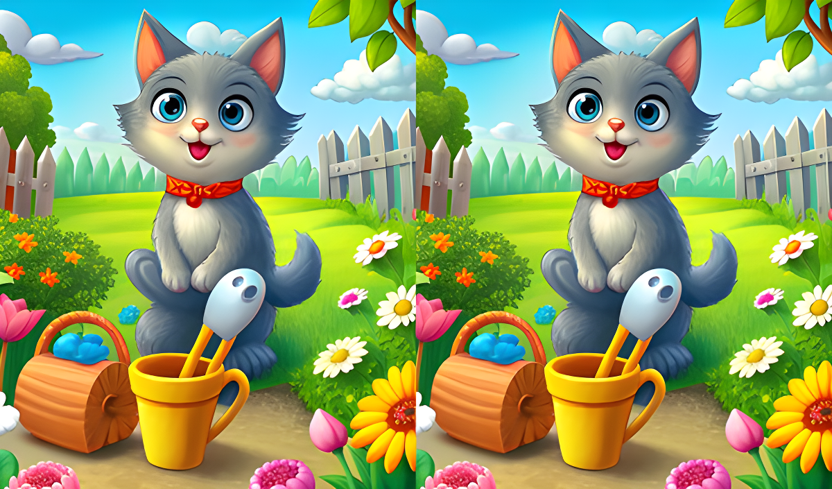 Copertina di Find the Difference Master
