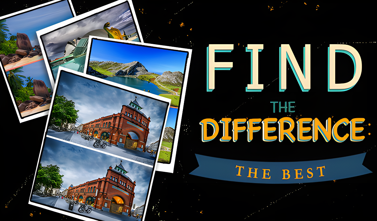 Find The Difference: The Best cover art