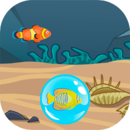 Find the Fish