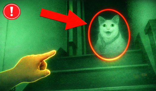 Find the ghost here
