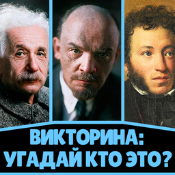 Quiz: Guess Who It Is?
