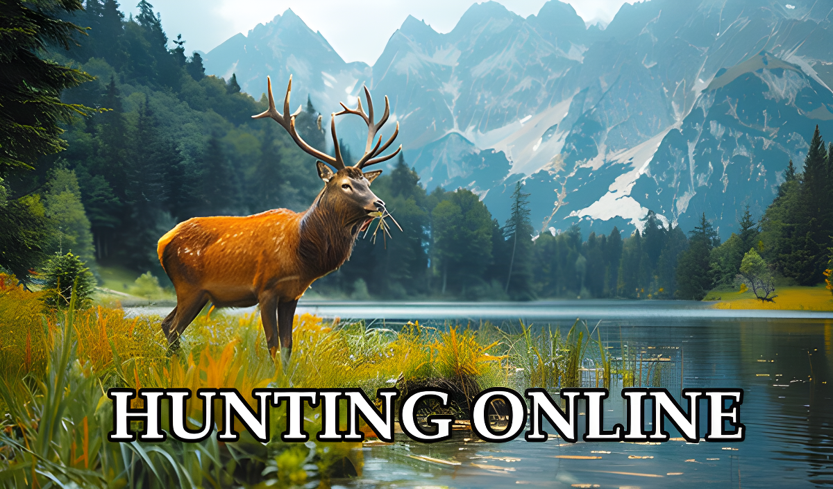 Copertina di Hunting Online