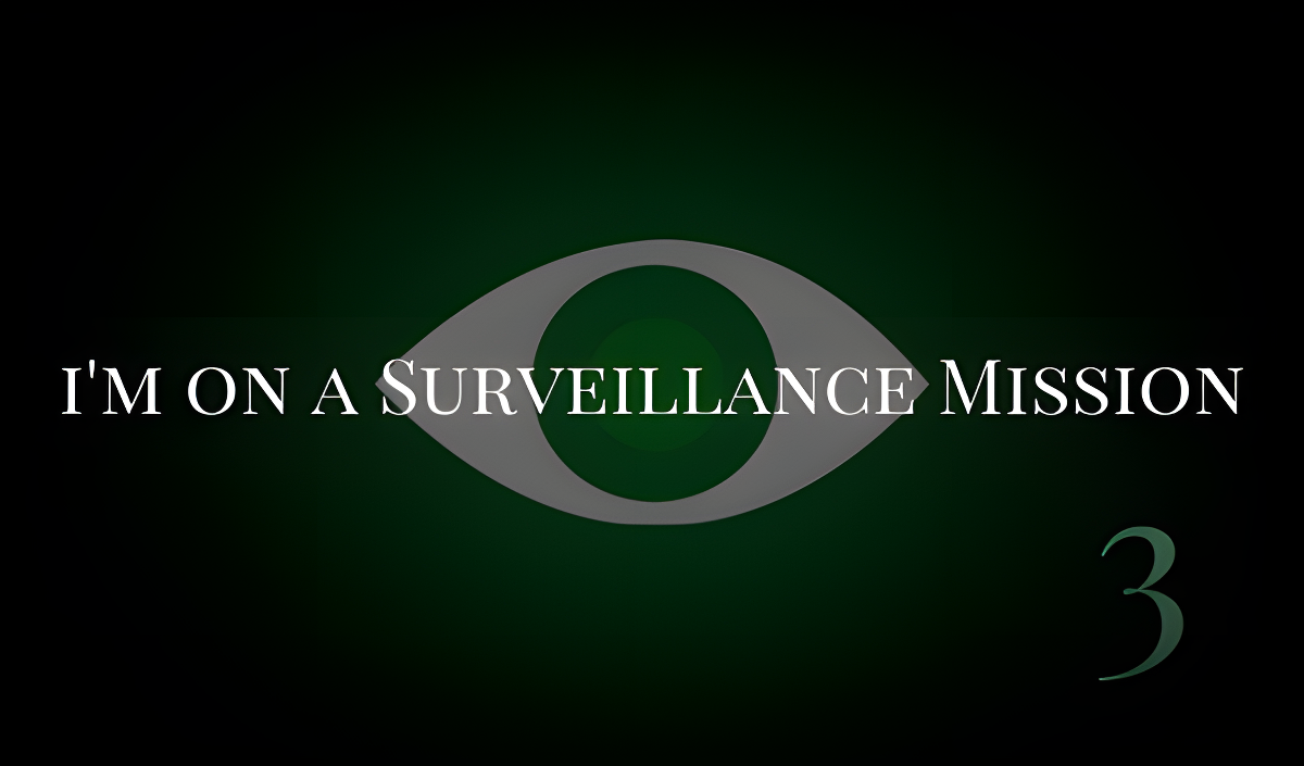 Imagen de portada de I'm on a Surveillance Mission 3