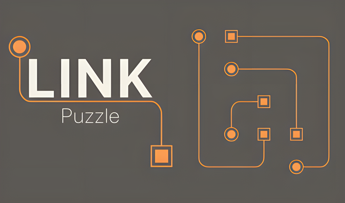 Copertina di Link Puzzle