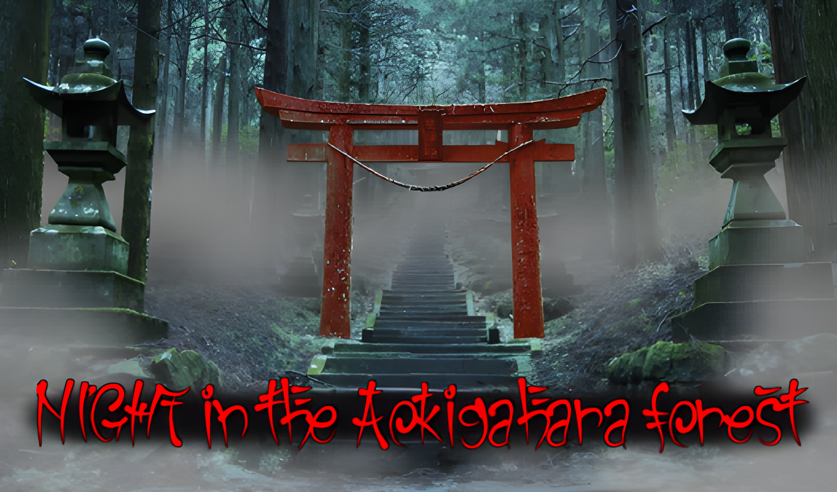 NIGHT in the Aokigahara forest