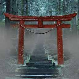 NIGHT in the Aokigahara forest