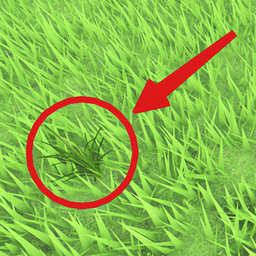 Obby: Be Grass