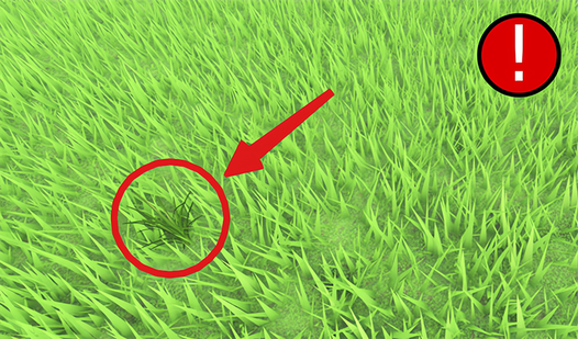 Obby: Be Grass