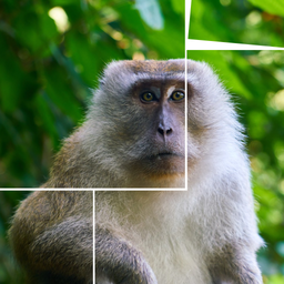 Picture Puzzle Animals