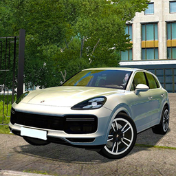 Race on Porsche 911