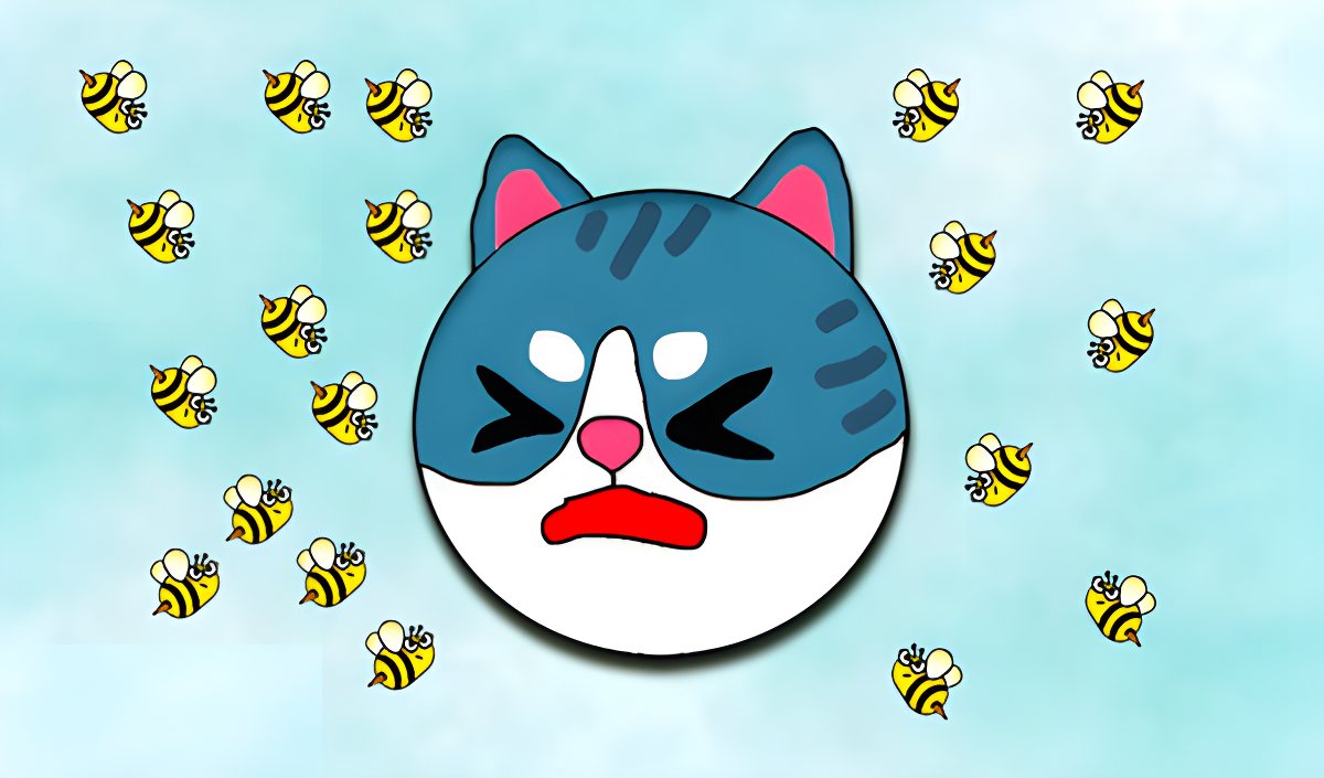 Copertina di Save the Cat