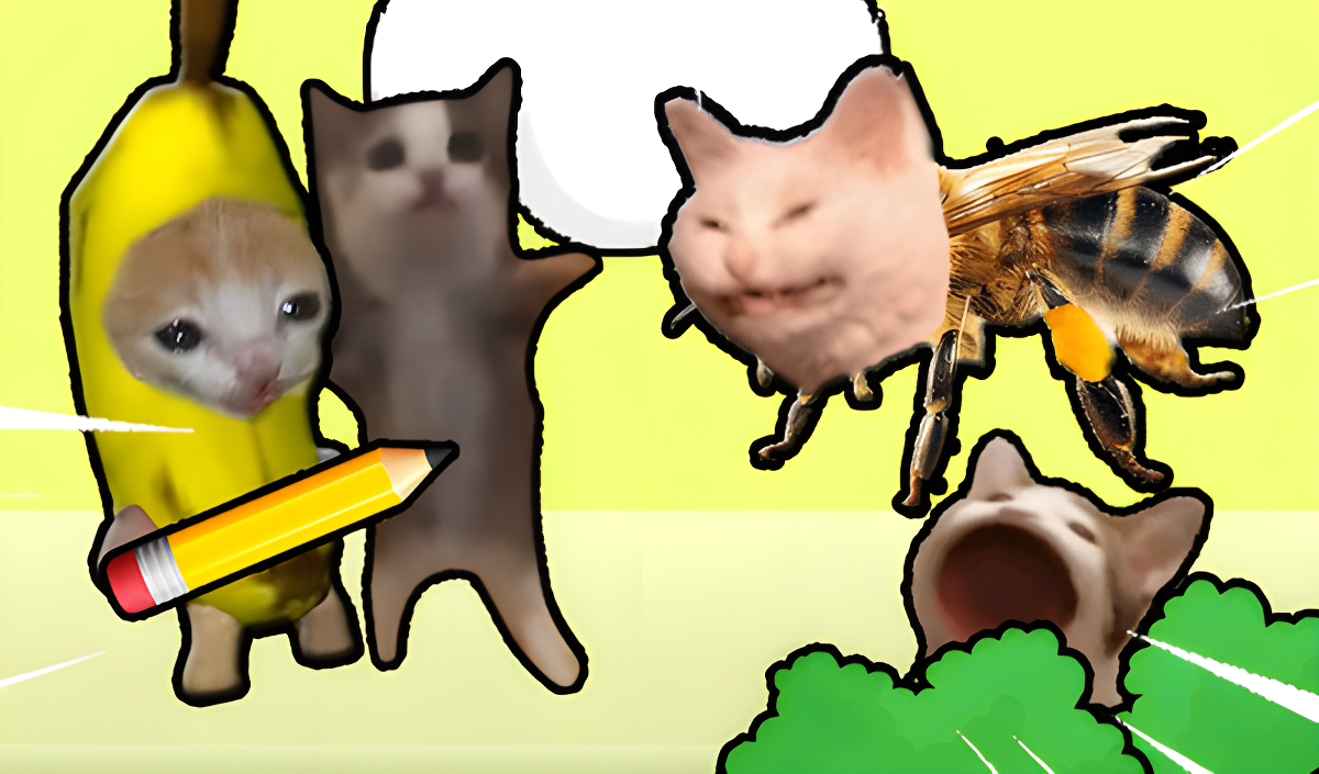Visuel de Save the cats meme