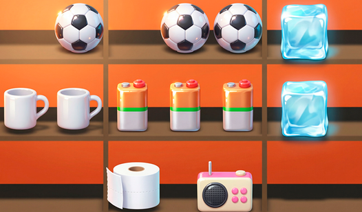 Sorting items. Find the same ones!