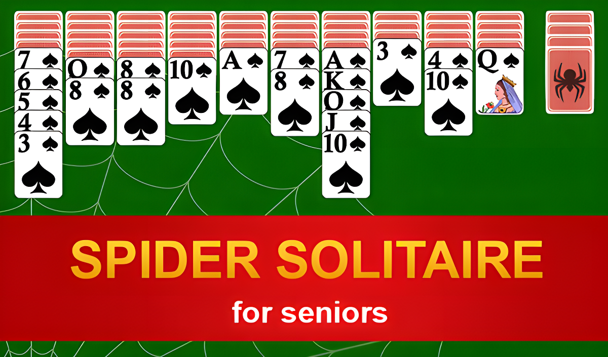 Spider Solitaire for Seniors